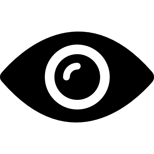 Vision Icon